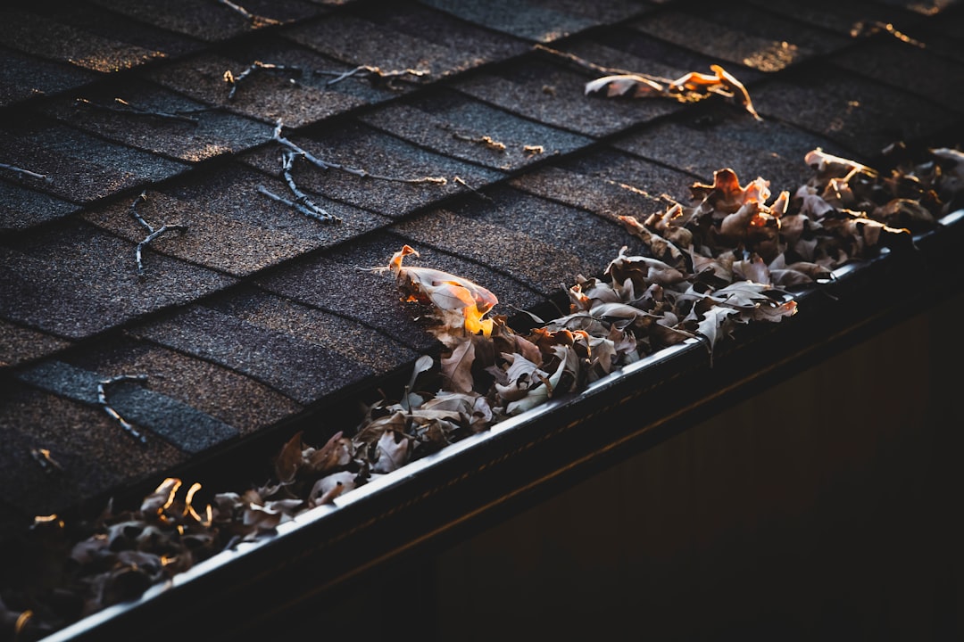 Wet fallen leaves clogging a residential roof gutter before winter cleanout.
