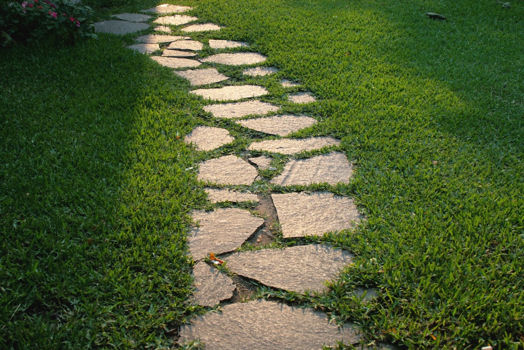 Flagstone paver walkway crossing a grass lawn